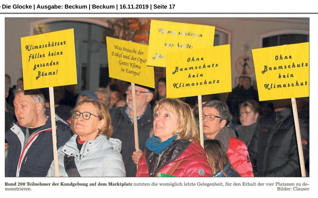 Auszüge aus der Glocke vom 16.11.19