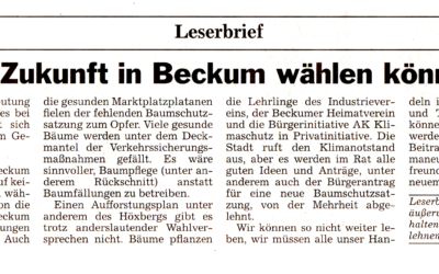 Leserbrief „Wenn die Zukunft in Beckum wählen könnte …“ von Jürgen Platz